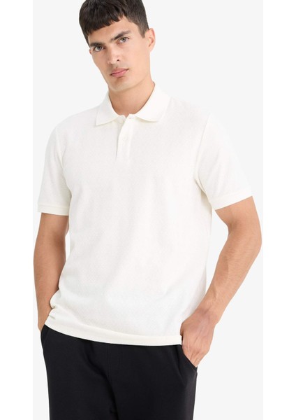 Triko Görünümlü Polo Yaka Kısa Kollu Tişört F4317AX25AU