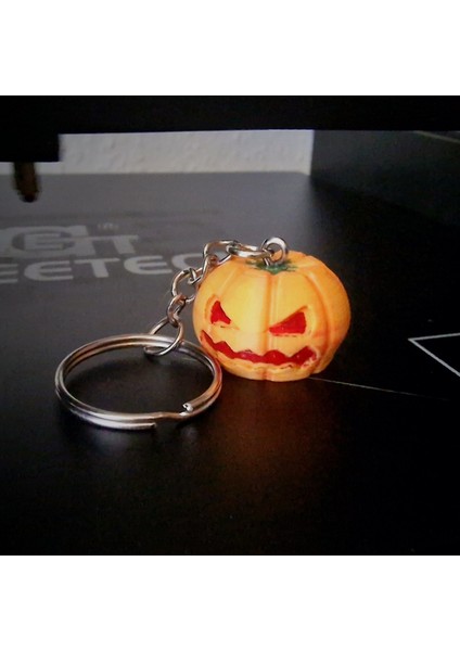 Yeni Bal Kabağı Anahtarlık T6130306