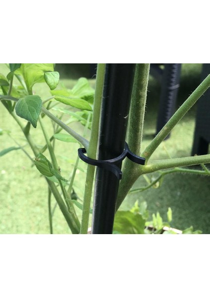 Yeni Bitki Destek Klipsi Siyah 4919007 (10 Adet) fiyatları