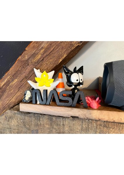 Yeni Nasa Solucan Logosu P709936