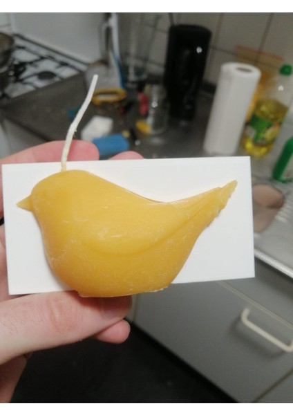 Yeni Mum Kalıp Kuşu T5699680