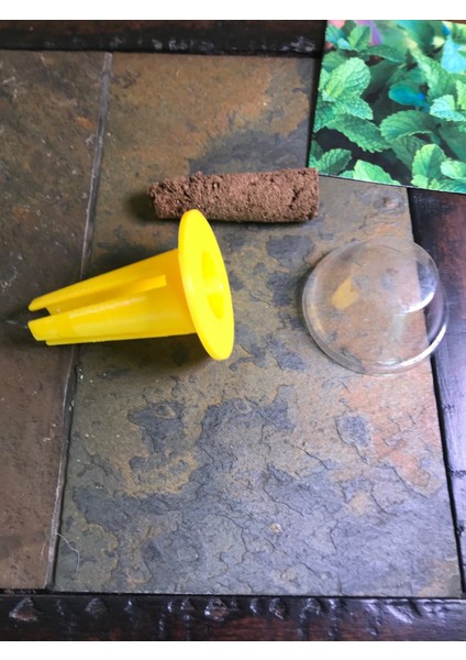 Yeni Aerogarden Sprout Tohum Başlangıç Tutucusu T3695066 modelleri