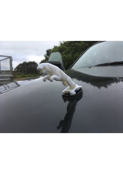 Yeni Jaguar Kaporta Süsü T2671367