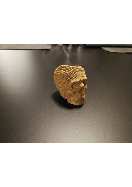 Yeni Tel Kafes Kafatası Kalemlik T2629550