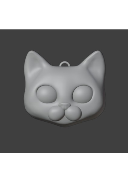 Yeni Kedi Süslemesi (Plastik Aparattır!!!)