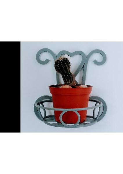 Yeni Duvardaki Saksı Için Braket (Plastik Aparattır!!!)