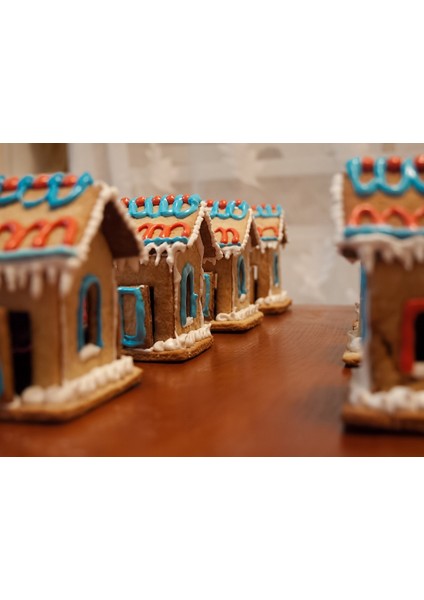 Yeni Zencefilli Kurabiye Ev Kalıbı (Plastik Aparattır!!!) fiyatları