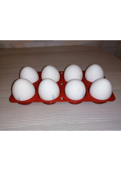 Yeni Atlant Buzdolabı Için Yumurta Standı (Plastik Aparattır!!!) fiyatları