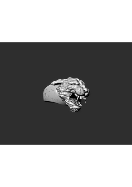 Yeni Canavar Namlusu ile Bir Yüzüğün 3D Modeli (Plastik Aparattır!!!)