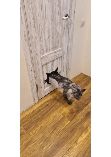 Yeni Bir Kedi Için Bir Kedi (Plastik Aparattır!!!)