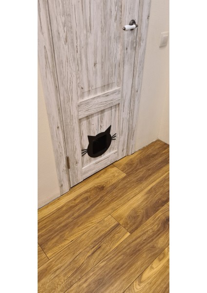 Yeni Bir Kedi Için Bir Kedi (Plastik Aparattır!!!) fiyatları