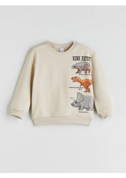 Lcw Kids Bej Dinazor Baskılı Erkek Çocuk Sweatshirt ve Eşofman Alt 2'li fiyatları