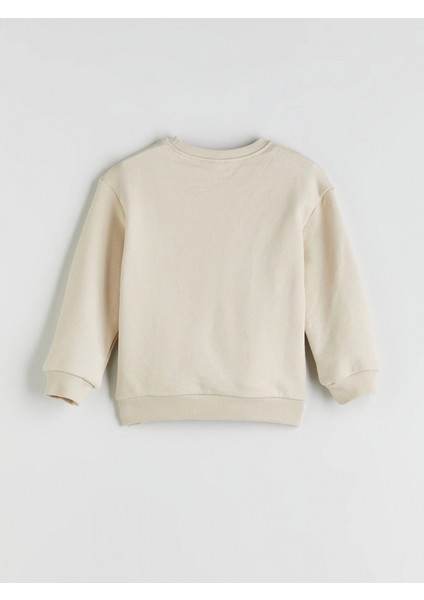 Lcw Kids Bej Dinazor Baskılı Erkek Çocuk Sweatshirt ve Eşofman Alt 2'li modelleri