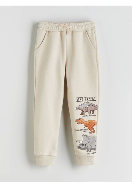 Lcw Kids Bej Dinazor Baskılı Erkek Çocuk Sweatshirt ve Eşofman Alt 2'li fırsatları