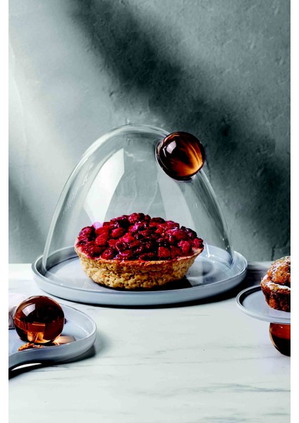 Juno Cake Dome fiyatları