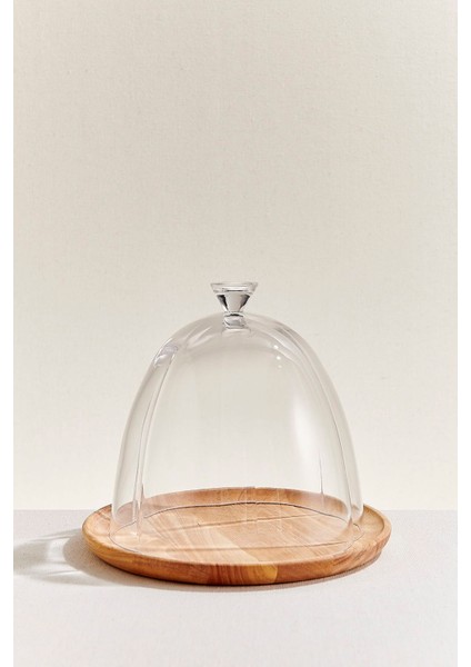 Tango Fanus 27 cm fiyatları