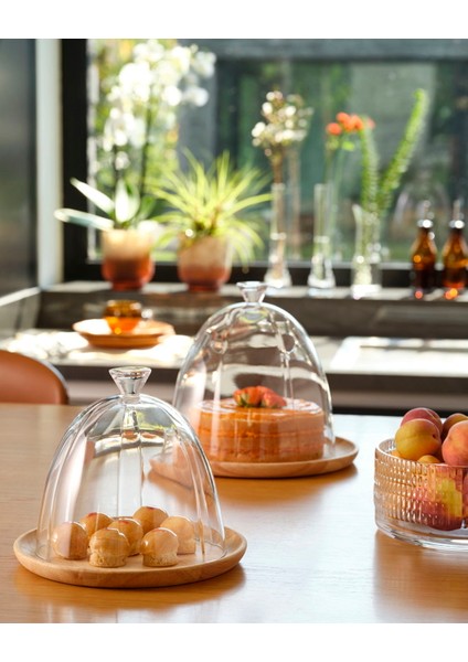 Tango Fanus 27 cm fırsatları