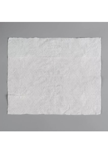 Büro Ev Ofis Hijyeni Için 20ADET Suda Büyüyen Sıkıştırılmış Temizlik Mendili modelleri