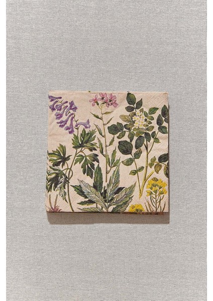 Nature 20'li Peçete