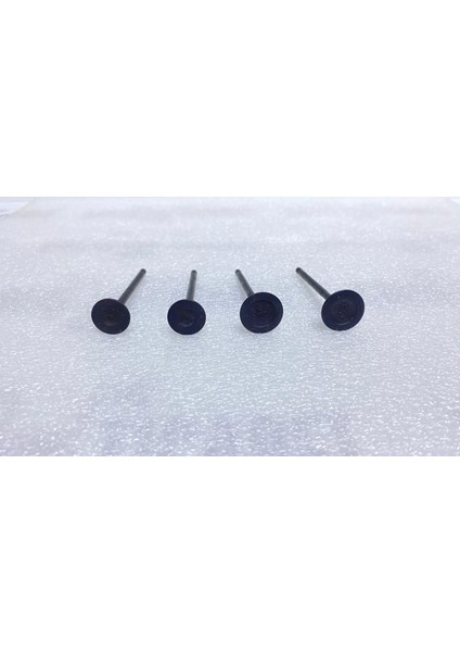 Bajaj Discover 125 Egzoz ve Emme Sibop Takımı ( 4 Adet ) fiyatları