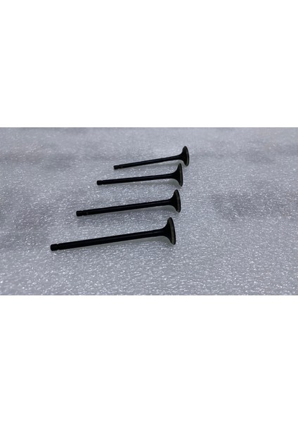 Bajaj Discover 125 Egzoz ve Emme Sibop Takımı ( 4 Adet )