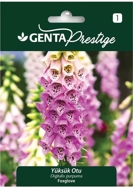 Yüksük Otu Tohumu (Digitalis Purpurea – Foxglove) – Uzun Boylu, Renkli Çiçekli Bahçe Bitkisi