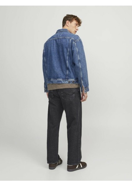 Jack Jones Alex Baggy Fit Erkek Jean Pantolon 12252762 modelleri