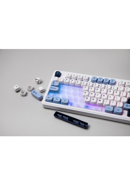 Af-98 Kablolu Mekanik Hisli Gaming Klavye - Kahverengi Switch Hissiyatlı