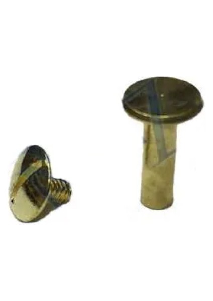 Cilt Menü, Katalog, Kartela Vidası, 13MM - Sarı, 100 Adet