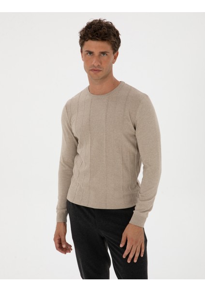 Erkek Kum Melanj Slim Fit Bisiklet Yaka Triko Kazak 50315584-VR123