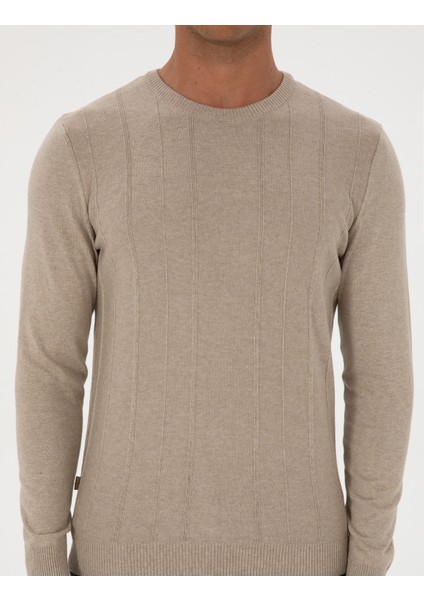 Erkek Kum Melanj Slim Fit Bisiklet Yaka Triko Kazak 50315584-VR123