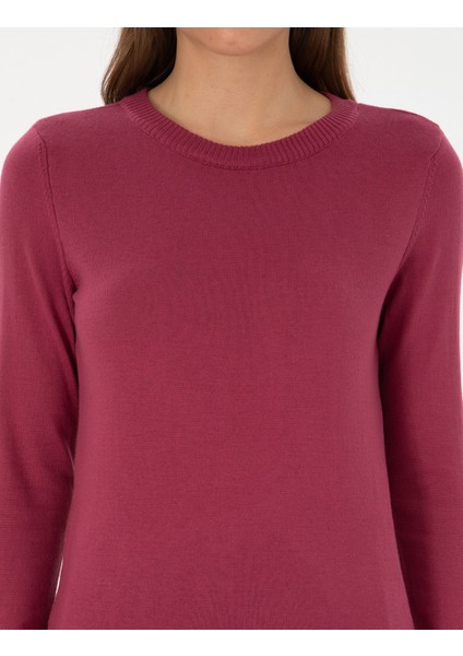 Kadın Gül Kurusu Slim Fit Basic Kazak 50315758-VR026