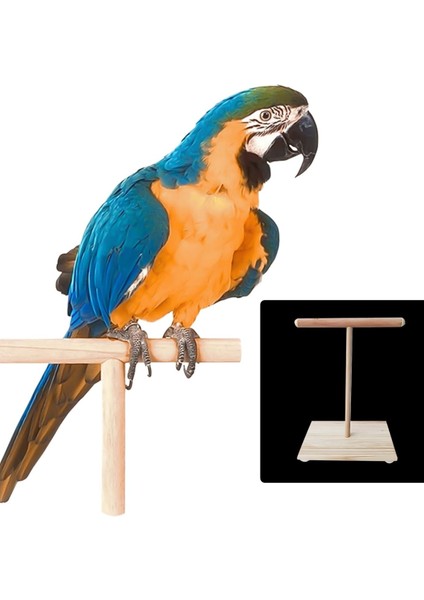 Ahşap T-Stand Kuş Platformu – Doğal, Dayanıklı, Kolay Montaj fırsatları