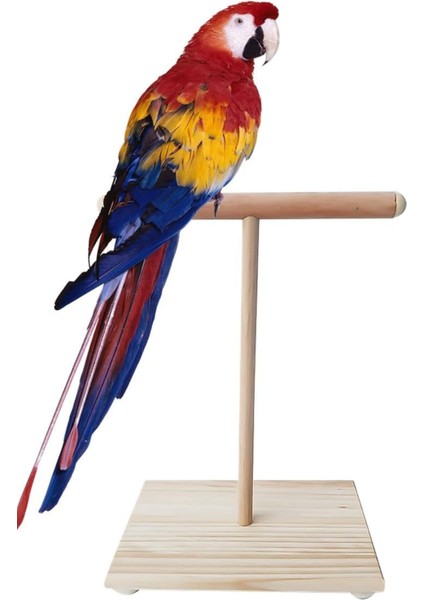 Ahşap T-Stand Kuş Platformu – Doğal, Dayanıklı, Kolay Montaj indirimleri