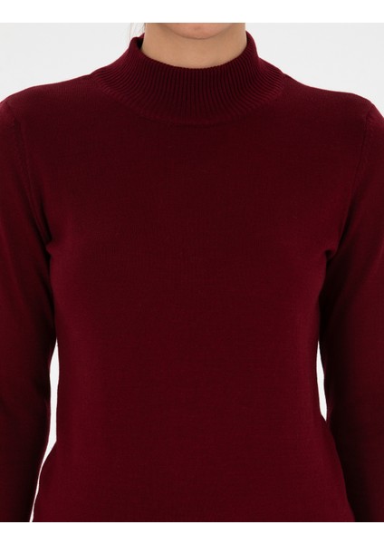 Kadın Vişne Slim Fit Basic Kazak 50315768-VR223