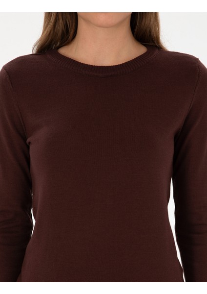 Kadın Kahverengi Slim Fit Basic Kazak 50315758-VR029