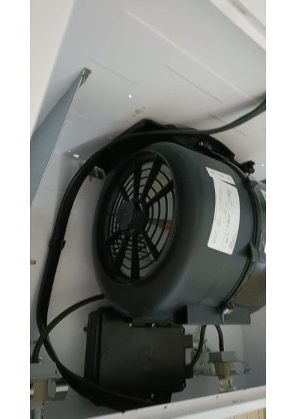 Bosch DWK66PJ20T Davlumbaz Karbon Filtre Uyumlu DWZ6HK1H4 12051525 fiyatları