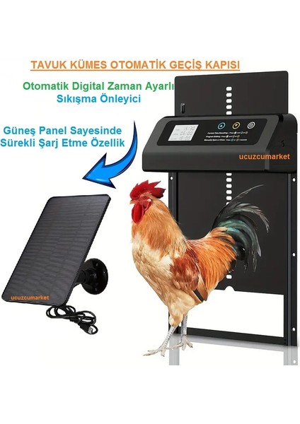 Tavuk Kümes Otomatik Geçiş Kapısı (Otomatik Digital Zaman Ayarlı - Güneş Panelli)