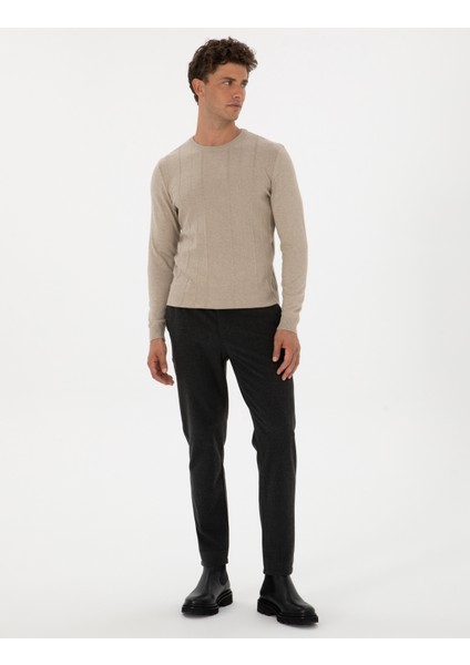 Erkek Antrasit Slim Fit Flanel Dokulu Kumaş Pantolon 50317639-VR006 modelleri