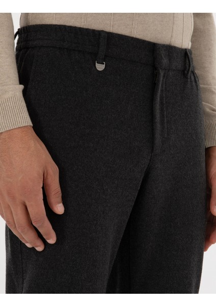 Erkek Antrasit Slim Fit Flanel Dokulu Kumaş Pantolon 50317639-VR006 indirimleri