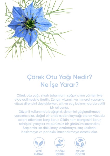 Çörek Otu Yağı %100 Saf - Derin Bağışıklık Gücü, Ciltten Arınma, Sac Canlandırıcı Serum 20 ml fırsatları