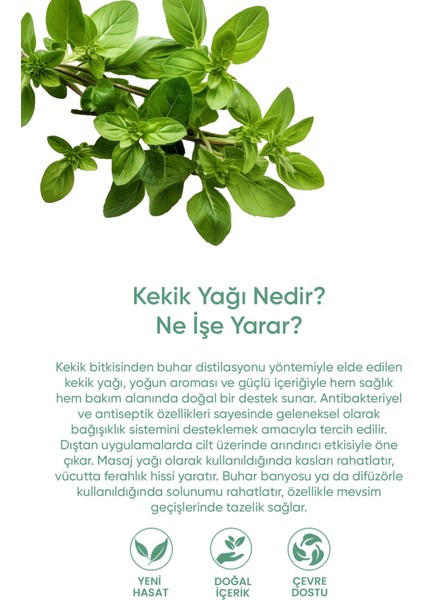 Kekik Yağı %100 Saf - Güçlü Arınma, Derin Korumu ve Doğal Denge Serum 20 ml indirimleri