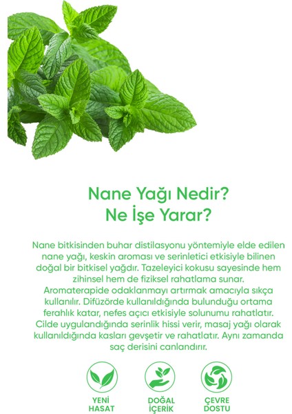 Nane Yağı %100 Saf - Ferahlatıcı, Canlandırıcı ve Arındırıcı Serum 20 ml indirimleri