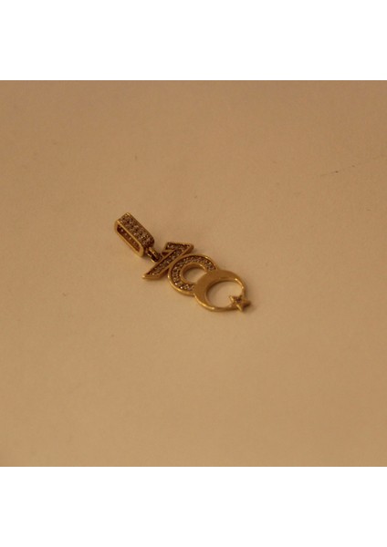 14 Ayar Altın Cumhuriyet 100. Yıl Kolye Ucu fiyatları