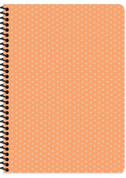 410572 17X24 100YP Kareli Spr Srt Kpk Saguaro Def