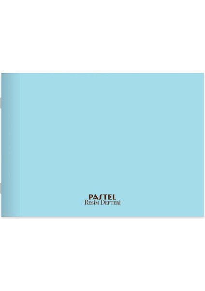 306013-99 17X25 24YP Pp Kpk Tel Dkş Pastel Resim Def.