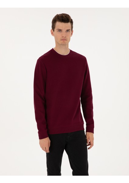 Erkek Bordo Regular Fit Sweatshirt 50311649-VR177