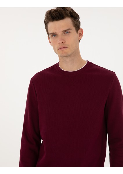 Erkek Bordo Regular Fit Sweatshirt 50311649-VR177 fiyatları