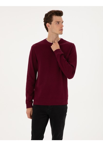Erkek Bordo Regular Fit Sweatshirt 50311649-VR177 modelleri