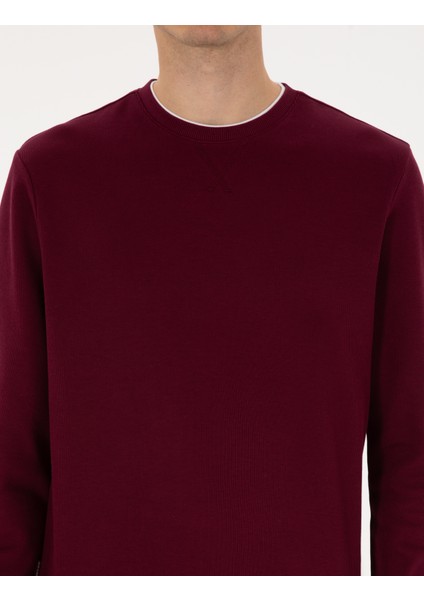 Erkek Bordo Regular Fit Sweatshirt 50311649-VR177